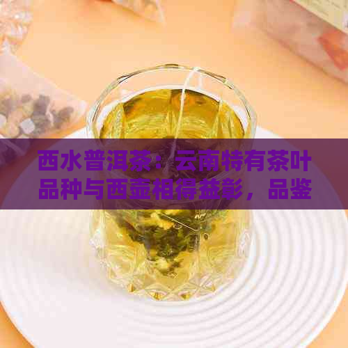 西水普洱茶：云南特有茶叶品种与西壶相得益彰，品鉴漭水普洱独特风味