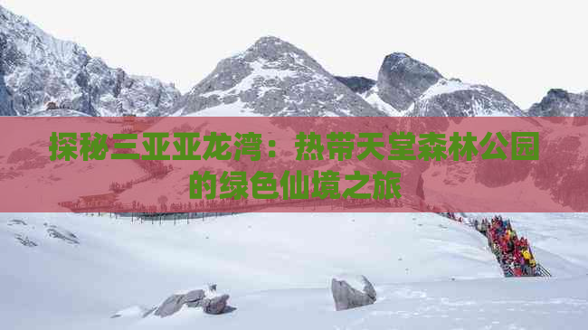 探秘三亚亚龙湾：热带天堂森林公园的绿色仙境之旅