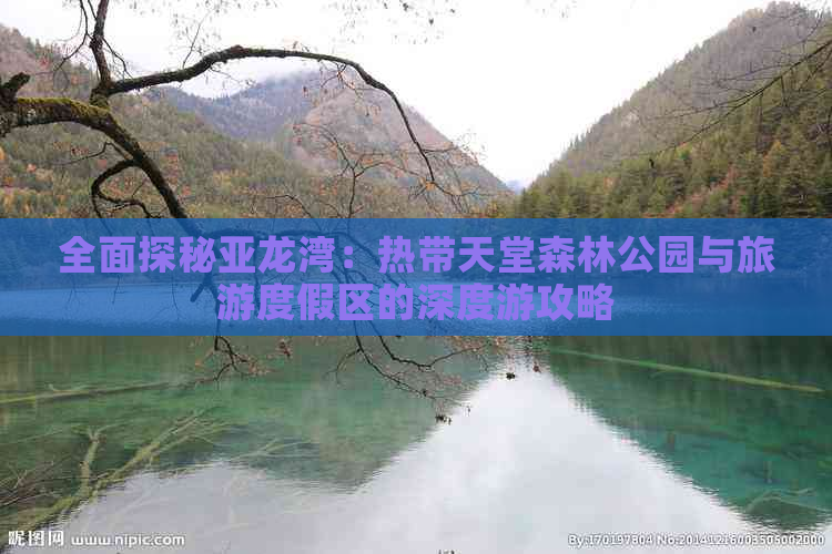 全面探秘亚龙湾：热带天堂森林公园与旅游度假区的深度游攻略