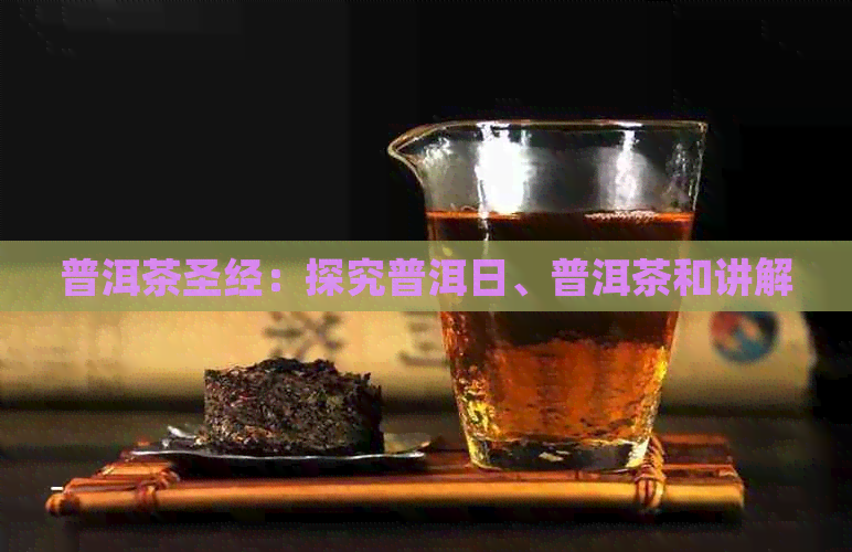 普洱茶圣经：探究普洱日、普洱茶和讲解