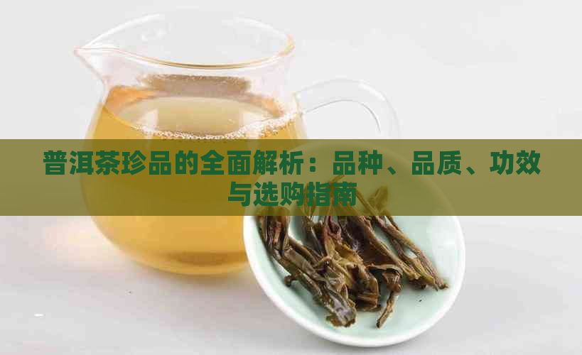 普洱茶珍品的全面解析：品种、品质、功效与选购指南