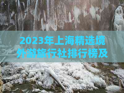 2023年上海精选境外游旅行社排行榜及热门旅游线路推荐指南