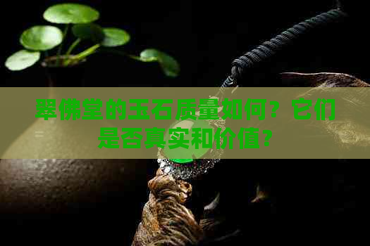 翠佛堂的玉石质量如何？它们是否真实和价值？