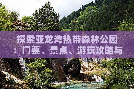 探索亚龙湾热带森林公园：门票、景点、游玩攻略与周边住宿全指南