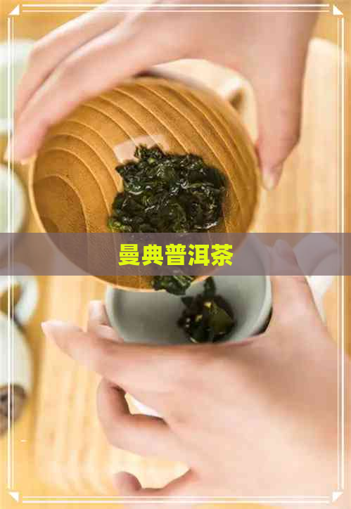 曼典普洱茶