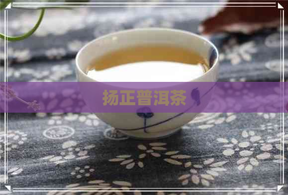 扬正普洱茶