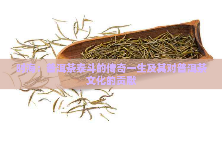 时海：普洱茶泰斗的传奇一生及其对普洱茶文化的贡献