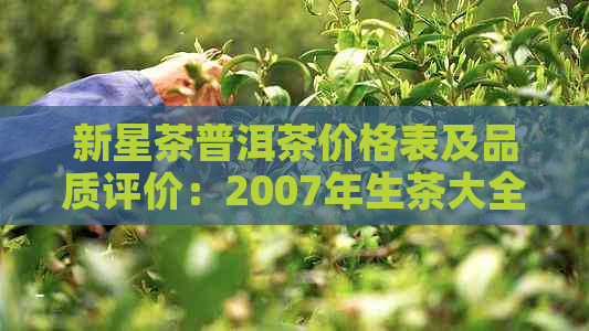 新星茶普洱茶价格表及品质评价：2007年生茶大全