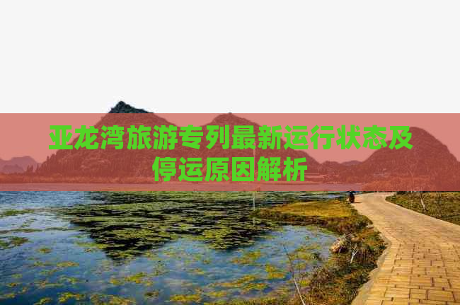 亚龙湾旅游专列最新运行状态及停运原因解析