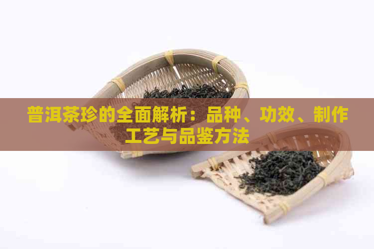 普洱茶珍的全面解析：品种、功效、制作工艺与品鉴方法