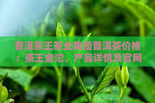 普洱茶王茶业集团普洱茶价格：茶王金沱，产品详情及官网信息