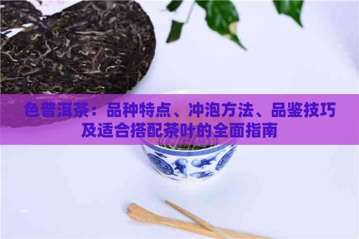 色普洱茶：品种特点、冲泡方法、品鉴技巧及适合搭配茶叶的全面指南