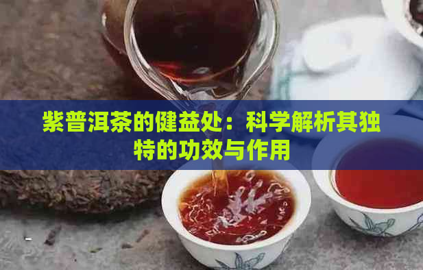 紫普洱茶的健益处：科学解析其独特的功效与作用