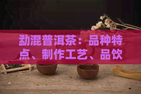 勐混普洱茶：品种特点、制作工艺、品饮方法及购买指南，一篇全面解答