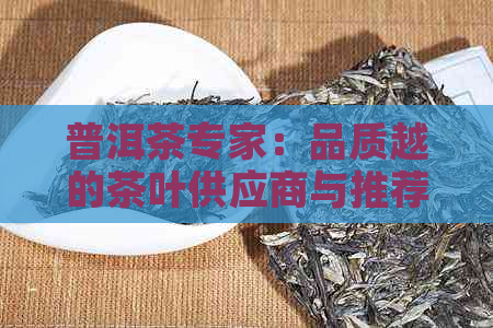 普洱茶专家：品质越的茶叶供应商与推荐者