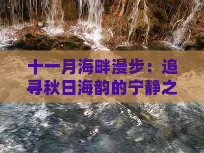 十一月海畔漫步：追寻秋日海韵的宁静之旅