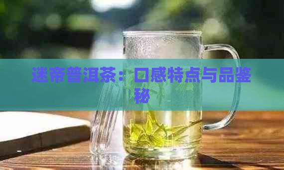 迷帝普洱茶：口感特点与品鉴秘