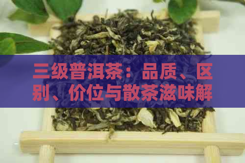 三级普洱茶：品质、区别、价位与散茶滋味解析