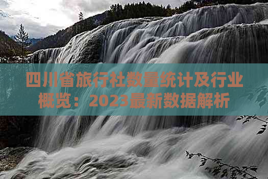 四川省旅行社数量统计及行业概览：2023最新数据解析