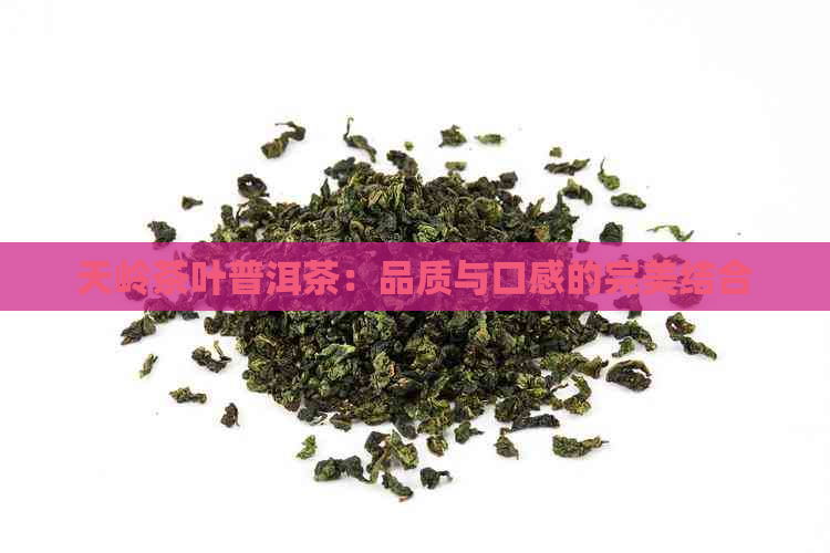 天岭茶叶普洱茶：品质与口感的完美结合