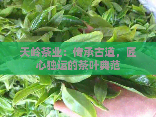 天岭茶业：传承古道，匠心独运的茶叶典范