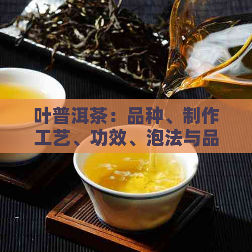 叶普洱茶：品种、制作工艺、功效、泡法与品鉴全解析