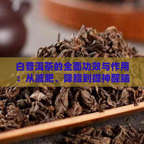 白普洱茶的全面功效与作用：从减肥、降脂到提神醒脑，一文解答！