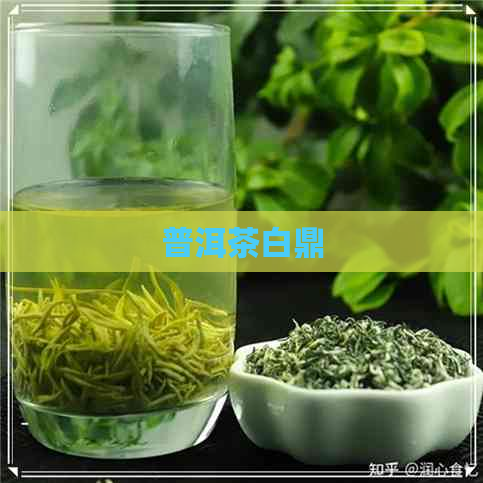 普洱茶白鼎