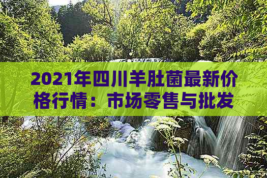 2021年四川羊肚菌最新价格行情：市场零售与批发价格一览