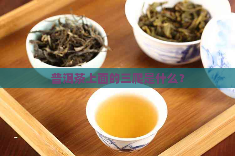 普洱茶上面的三爬是什么？