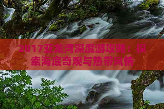 2017亚龙湾深度游攻略：探索海底奇观与热带风情