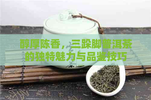 醇厚陈香，三跺脚普洱茶的独特魅力与品鉴技巧