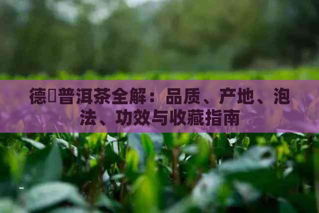 德鳯普洱茶全解：品质、产地、泡法、功效与收藏指南