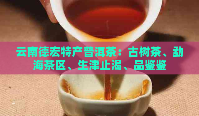 云南德宏特产普洱茶：古树茶、勐海茶区、生津止渴、品鉴鉴