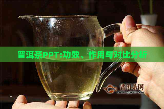 普洱茶PPT:功效、作用与对比分析