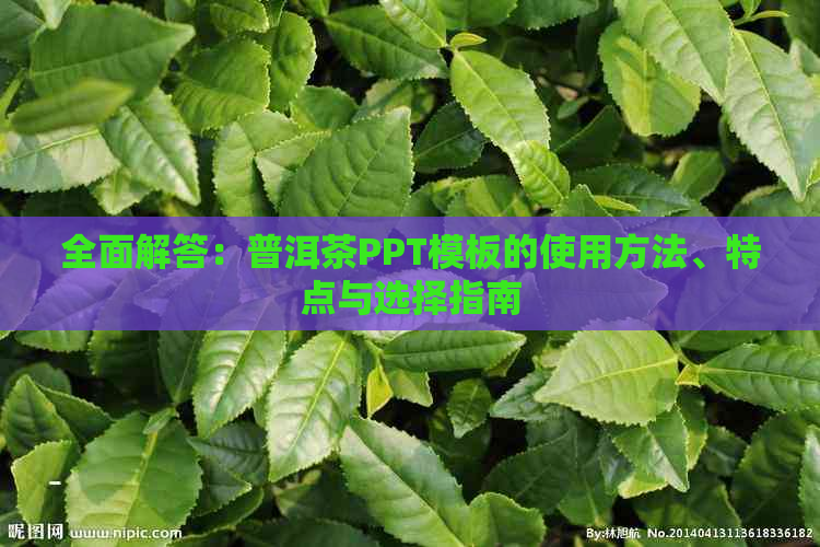 全面解答：普洱茶PPT模板的使用方法、特点与选择指南