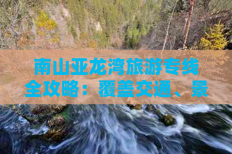 南山亚龙湾旅游专线全攻略：覆盖交通、景点、住宿一站式指南