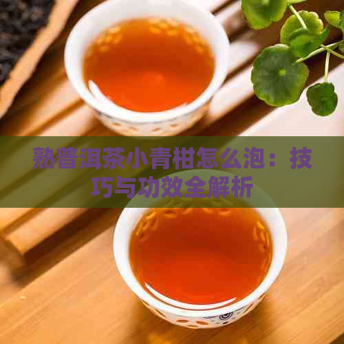 熟普洱茶小青柑怎么泡：技巧与功效全解析