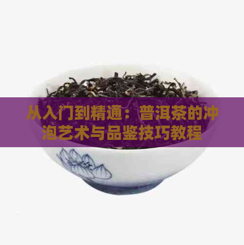 从入门到精通：普洱茶的冲泡艺术与品鉴技巧教程