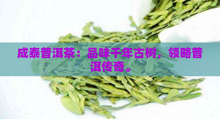 成泰普洱茶：品味千年古树，领略普洱传奇。