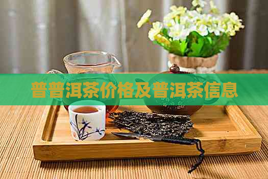 普普洱茶价格及普洱茶信息