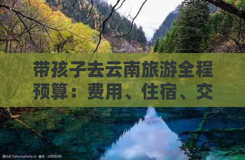 带孩子去云南旅游全程预算：费用、住宿、交通及景点门票全解析