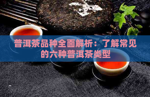 普洱茶品种全面解析：了解常见的六种普洱茶类型