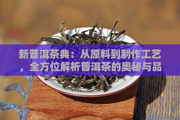 新普洱茶典：从原料到制作工艺，全方位解析普洱茶的奥秘与品鉴技巧