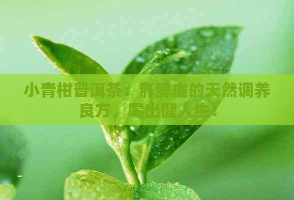 小青柑普洱茶：肝脾虚的天然调养良方，喝出健人生！