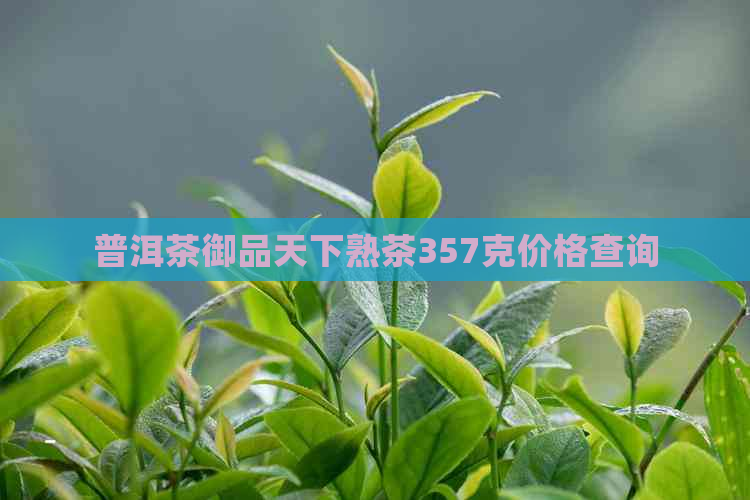 普洱茶御品天下熟茶357克价格查询