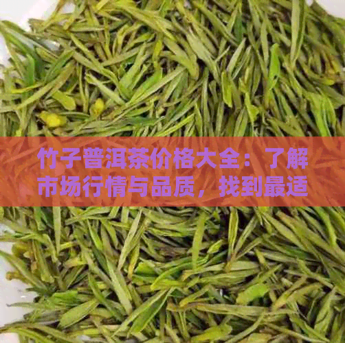 竹子普洱茶价格大全：了解市场行情与品质，找到最适合您的茶叶