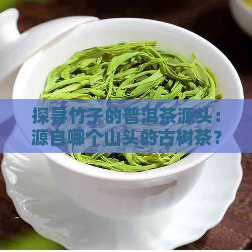 探寻竹子的普洱茶源头：源自哪个山头的古树茶？