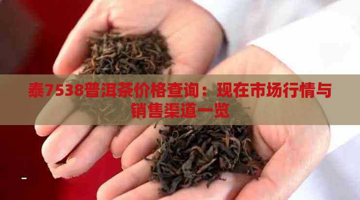 泰7538普洱茶价格查询：现在市场行情与销售渠道一览