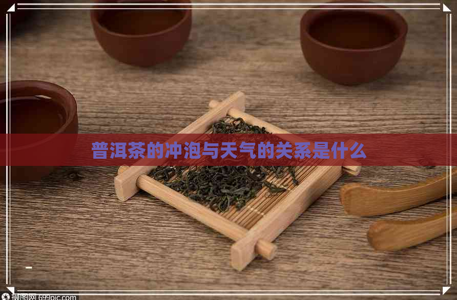 普洱茶的冲泡与天气的关系是什么